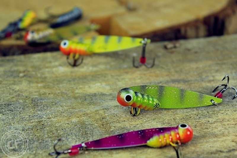 cykady szuszkiewicza